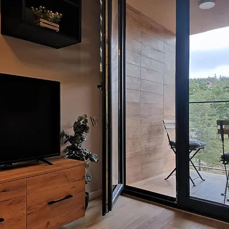 Apartment Maslacak *
